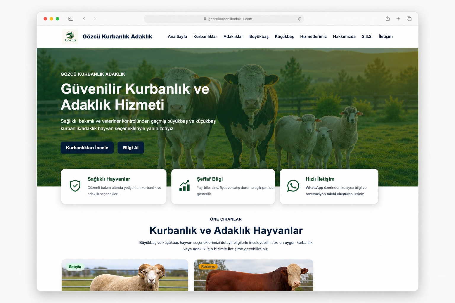 Gözcü Kurbanlık Adaklık